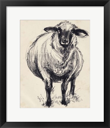 Framed Charcoal Sheep II Print