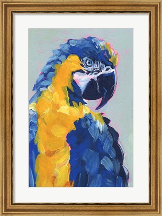 Framed Pop Art Parrot II Print