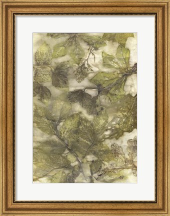 Framed Eco Print III Print