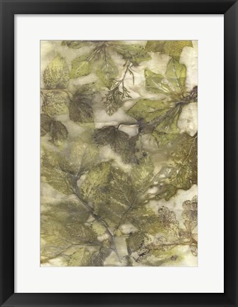 Framed Eco Print III Print