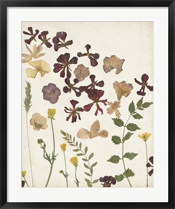 Framed Pressed Flower Arrangement III Print