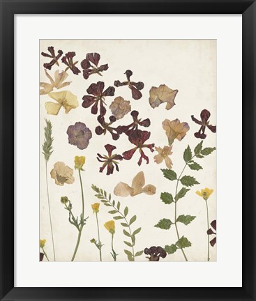 Framed Pressed Flower Arrangement III Print