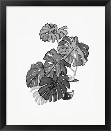 Framed B&amp;W Indoor Plant III Print