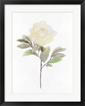 Framed White Blossom V Print