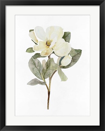 Framed White Blossom VI Print