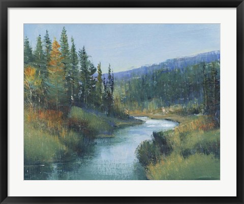 Framed Trout Stream I Print