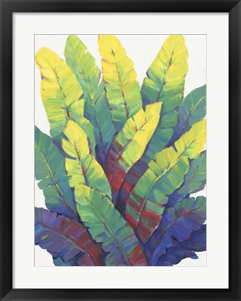 Framed Sunlit Banana Leaves I Print