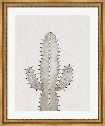 Framed Cactus Study I Print
