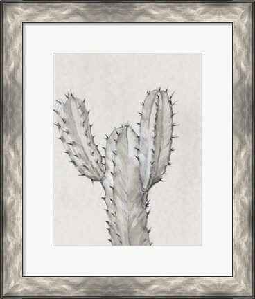 Framed Cactus Study II Print