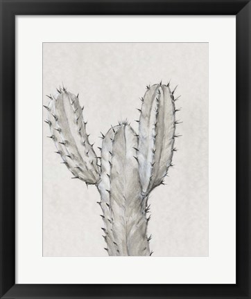 Framed Cactus Study II Print