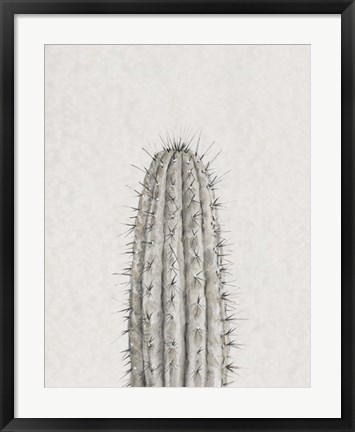 Framed Cactus Study III Print