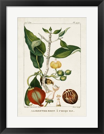 Framed Turpin Foliage &amp; Fruit III Print