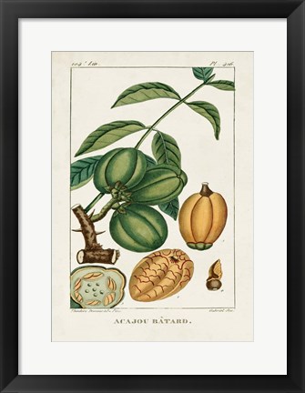 Framed Turpin Foliage &amp; Fruit IV Print