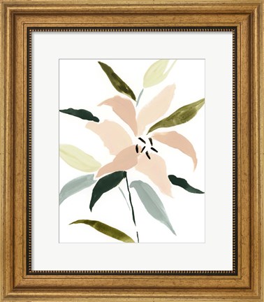 Framed Lily Abstracted I Print