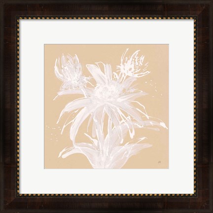 Framed Echinacea III Print