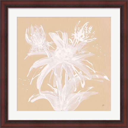 Framed Echinacea III Print