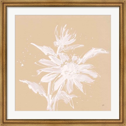 Framed Echinacea II Print