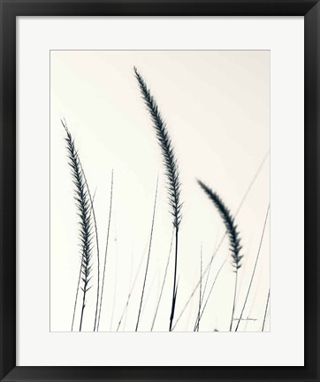 Framed Field Grasses IV BW Crop Print