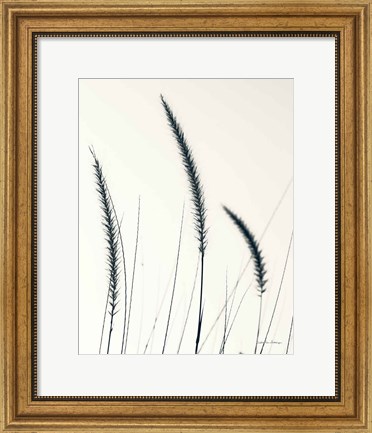 Framed Field Grasses IV BW Crop Print
