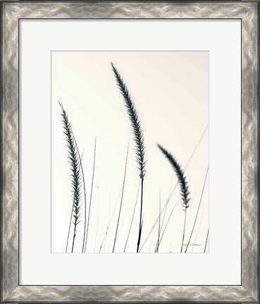 Framed Field Grasses IV BW Crop Print