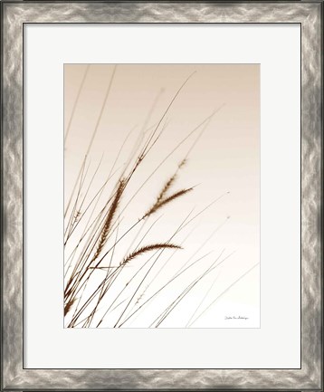 Framed Field Grasses I Sepia Print
