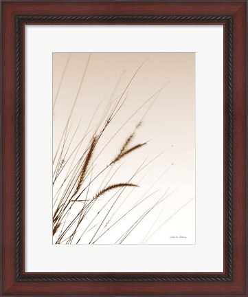Framed Field Grasses I Sepia Print