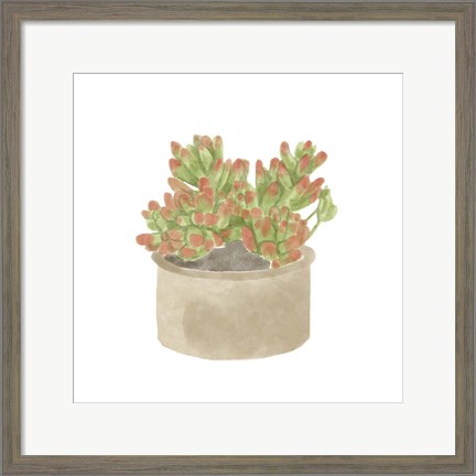 Framed Simple Succulent I Print