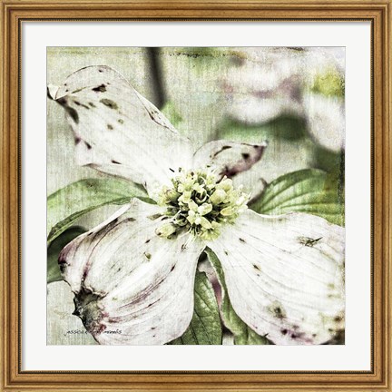 Framed Dogwood Floral Print