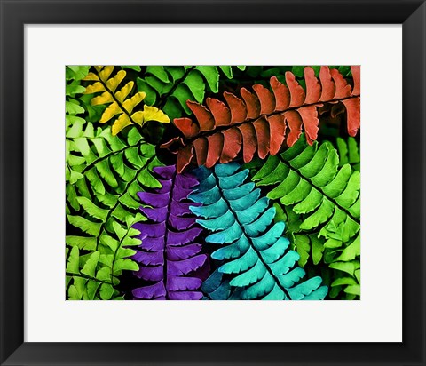 Framed Feel the Fern Print