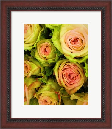 Framed Green &amp; Pink Rose Bouquet Print