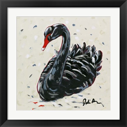 Framed Black Swan Print