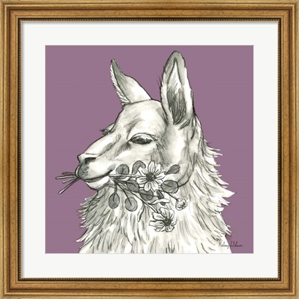 Framed Llama Print
