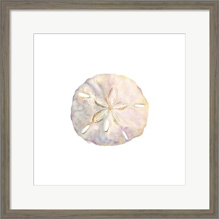 Framed Oceanum Shells White IV-Sand Dollar Print