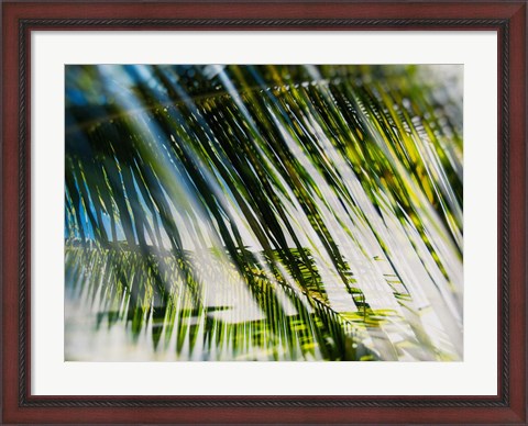 Framed Evergreen No. 10 Print