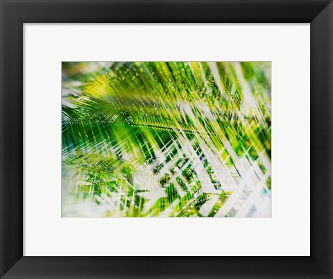 Framed Evergreen No. 11 Print