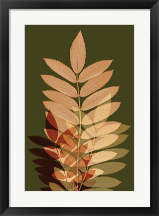 Framed Fall Leaves 2 Print