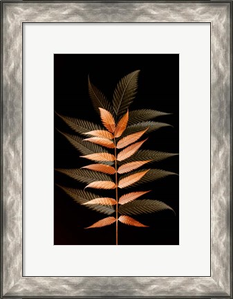 Framed Fall Leaves 6 Print