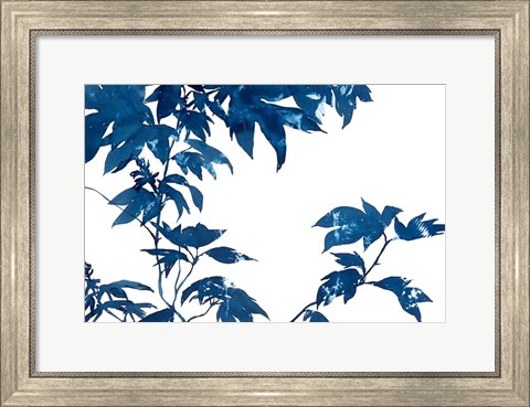 Framed Quercifolia Print