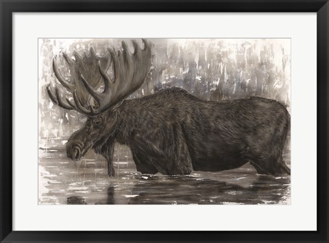 Framed Majestic Moose Print