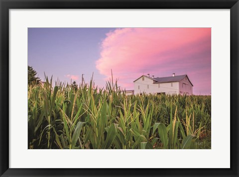 Framed Corn Crop Print