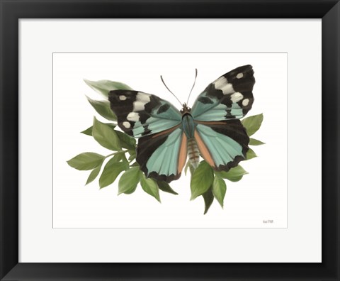 Framed Botanical Butterfly Common Gem Print