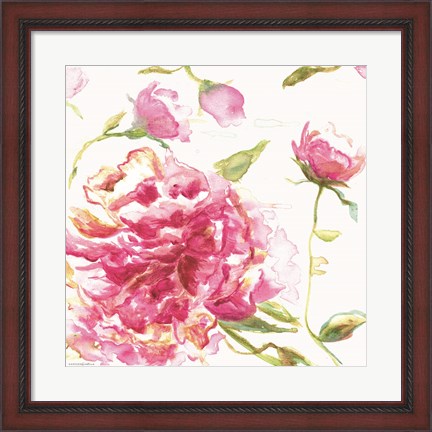 Framed English Rose Print