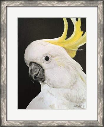 Framed White Cockatoo Print