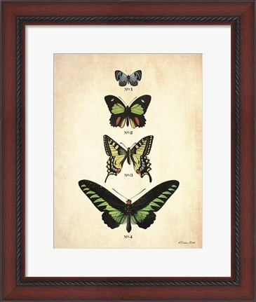 Framed Butterflies 1 Print