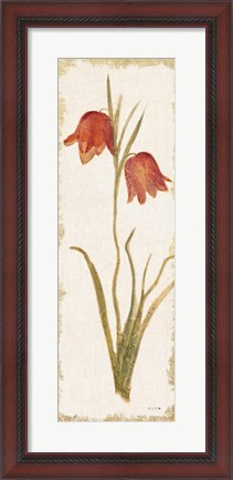 Framed Red Tulip Panel Light Print