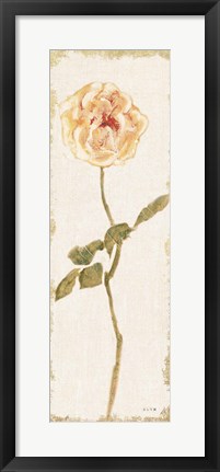 Framed Pale Rose Panel Light Print