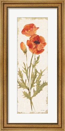 Framed Poppy Panel Light Print
