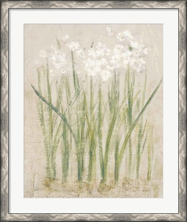 Framed Narcissus Light Print