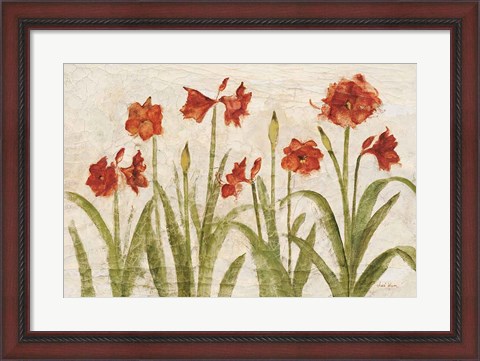 Framed Row of Red Amaryllis Light Print