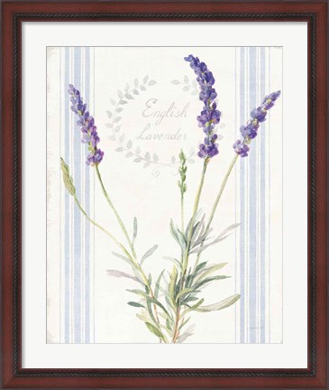Framed Floursack Lavender IV Print